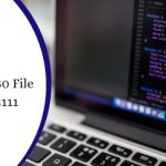 Sage-50-File-System-Error-3111