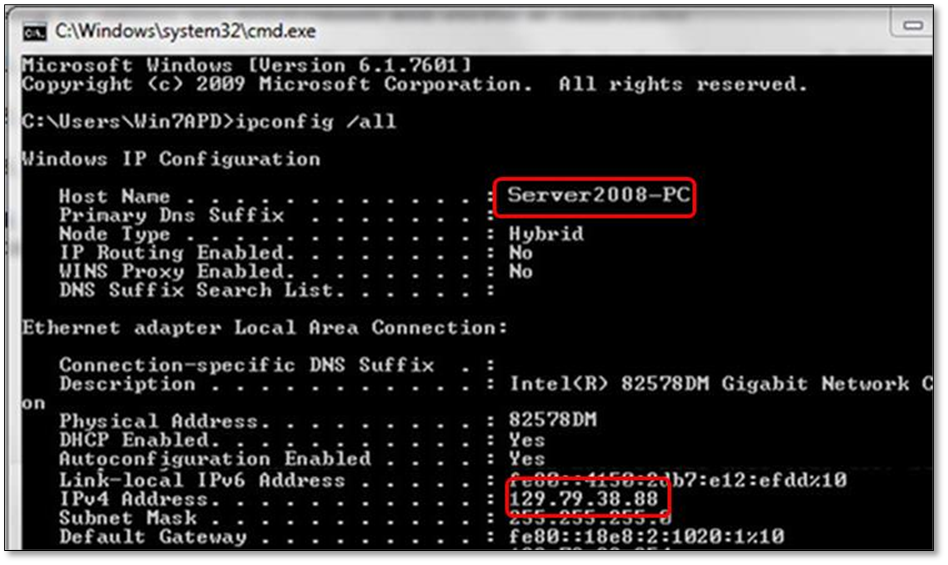 computers’ names and IP addresses